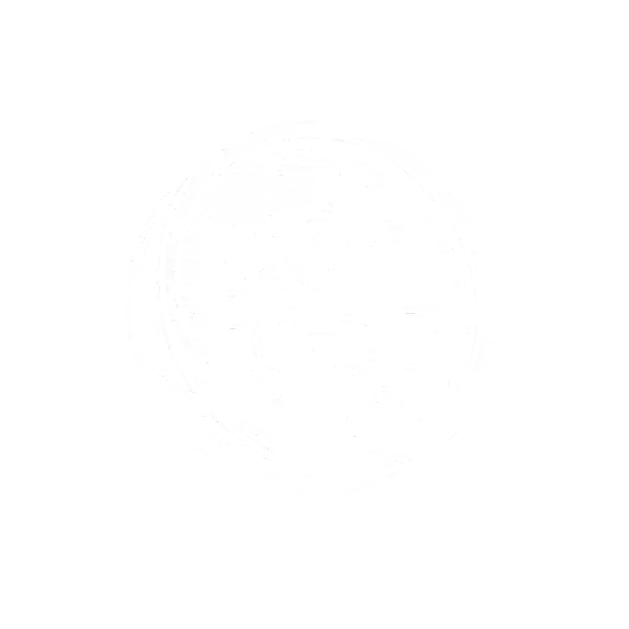 Set team hierarchy, roles and permissions for each agent